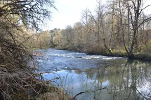 1397 State Route 506, Vader, WA 98593 - Photo 38