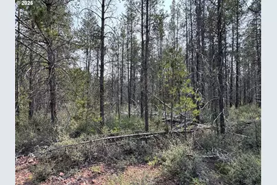 Cloudcap Drive #1, Chiloquin, OR 97624 - Photo 18