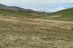 38901 Hwy 86, Richland, OR 97870 - Photo 14