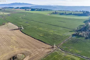 39986 Gisler Rd, Scio, OR 97374 - Photo 10