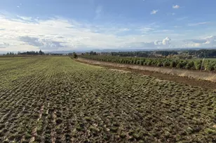 39986 Gisler Rd, Scio, OR 97374 - Photo 6