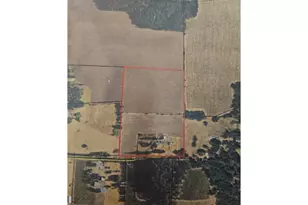 17135 NE Herigstad Rd, Silverton, OR 97381 - Photo 48