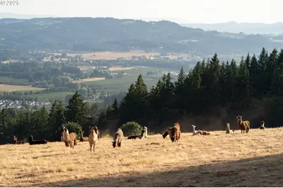 27200 NE Mountain Top Rd, Newberg, OR 97132 - Photo 46