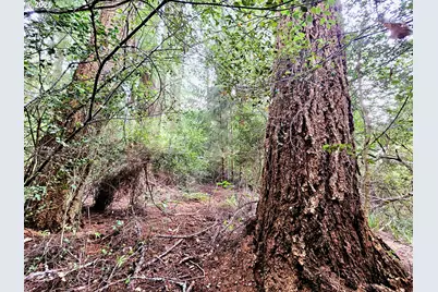 614 Hassett St, Brookings, OR 97415 - Photo 42