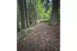102 NW 164th St, Ridgefield, WA 98642 - Photo 30