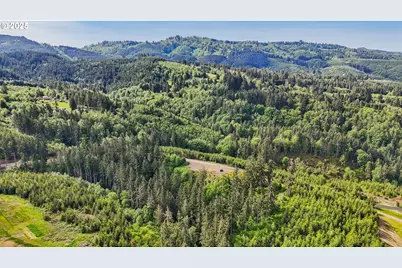 143 Bootjack Ln #Lot 1, Kelso, WA 98626 - Photo 28