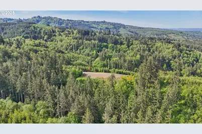 143 Bootjack Ln #Lot 1, Kelso, WA 98626 - Photo 10