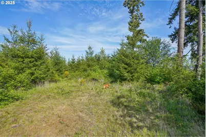 143 Bootjack Ln #Lot 1, Kelso, WA 98626 - Photo 36