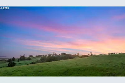 331 Metz Hill Rd, Oakland, OR 97462 - Photo 18