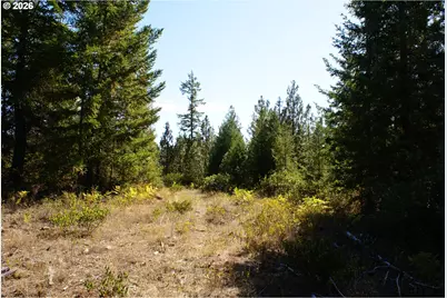 Cedar Valley Rd, Goldendale, WA 98620 - Photo 10