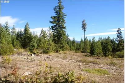 Cedar Valley Rd, Goldendale, WA 98620 - Photo 2