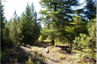 Cedar Valley Rd, Goldendale, WA 98620 - Photo 8