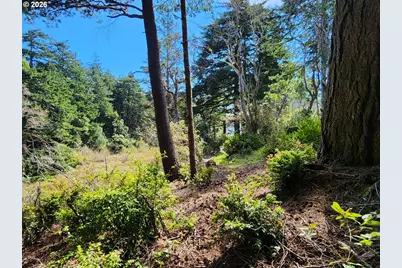 92504 Paradise Point Rd, Port Orford, OR 97465 - Photo 36