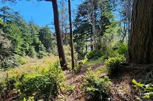 92504 Paradise Point Rd, Port Orford, OR 97465 - Photo 36