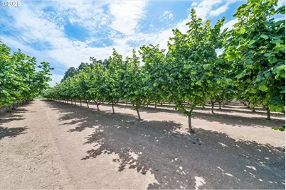 14604 Woodburn Monitor Rd, Woodburn, OR 97071 - Photo 36