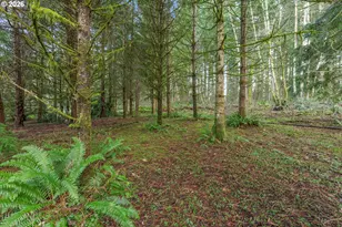 21912 NE 68th St, Vancouver, WA 98682 - Photo 42