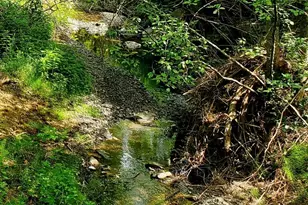 464 Homestead Dr, Myrtle Creek, OR 97457 - Photo 4