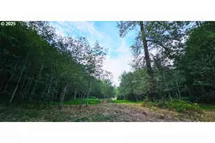 12592 Hwy 30, Clatskanie, OR 97016 - Photo 12