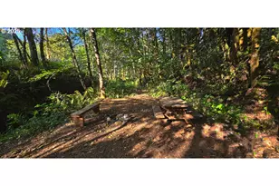 12592 Hwy 30, Clatskanie, OR 97016 - Photo 4