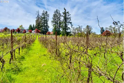 34386 Matthews Rd, Eugene, OR 97405 - Photo 22