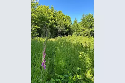 Ne Fargher Dr #1, Yacolt, WA 98675 - Photo 16