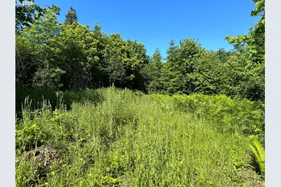 Ne Fargher Dr #1, Yacolt, WA 98675 - Photo 14