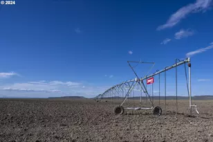 60664 Anderson Valley Rd, Princeton, OR 97721 - Photo 6