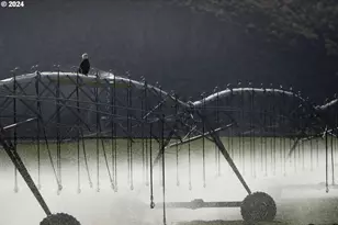 60664 Anderson Valley Rd, Princeton, OR 97721 - Photo 12