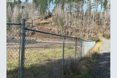 50389 McKenzie Hwy, Vida, OR 97488 - Photo 10