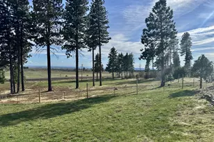 3021 Bickleton Hwy, Bickleton, WA 99322 - Photo 4