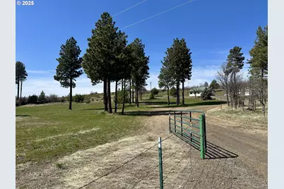 3021 Bickleton Hwy, Bickleton, WA 99322 - Photo 2