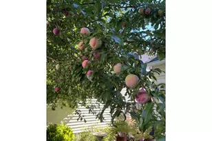 1288 NE Margeaux Pl, Hillsboro, OR 97124 - Photo 30