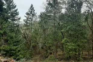 0 NE Lookingglass Lot 1 2 Rd, Roseburg, OR 97471 - Photo 20