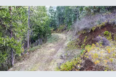0 NE Lookingglass Lot 1,2 Rd, Roseburg, OR 97471 - Photo 28