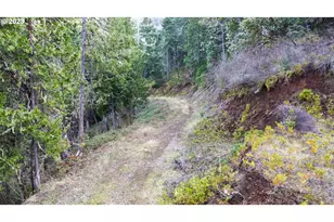 0 NE Lookingglass Lot 1 2 Rd, Roseburg, OR 97471 - Photo 28