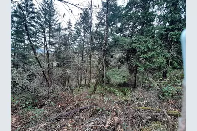 0 NE Lookingglass Lot 1,2 Rd, Roseburg, OR 97471 - Photo 18