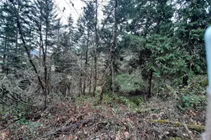 0 NE Lookingglass Lot 1 2 Rd, Roseburg, OR 97471 - Photo 18