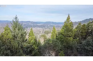 0 NE Lookingglass Lot 1 2 Rd, Roseburg, OR 97471 - Photo 30