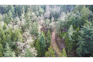 0 NE Lookingglass Lot 1 2 Rd, Roseburg, OR 97471 - Photo 42