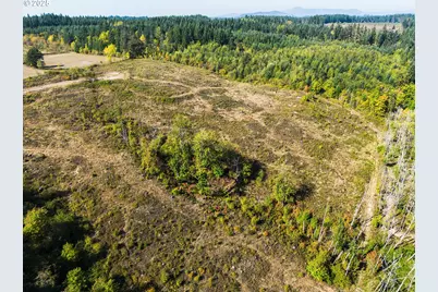 31807 NE 122nd Ave, Battle Ground, WA 98604 - Photo 30