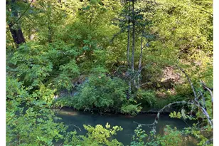5184 Upper Cow Creek Rd, Azalea, OR 97410 - Photo 16