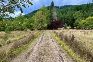 5184 Upper Cow Creek Rd, Azalea, OR 97410 - Photo 14