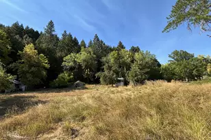 5184 Upper Cow Creek Rd, Azalea, OR 97410 - Photo 4