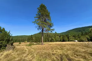 5184 Upper Cow Creek Rd, Azalea, OR 97410 - Photo 2