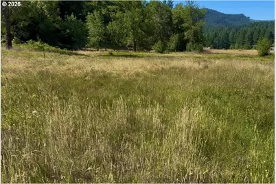 5184 Upper Cow Creek Rd, Azalea, OR 97410 - Photo 10