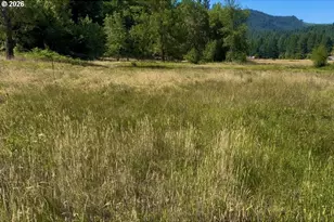 5184 Upper Cow Creek Rd, Azalea, OR 97410 - Photo 10