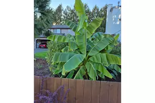 10816 NE 77th Cir, Vancouver, WA 98662 - Photo 44