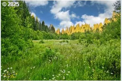 50000 Highway 62, Prospect, OR 97536 - Photo 2