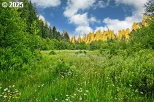 50000 Hwy 62, Prospect, OR 97536 - Photo 2