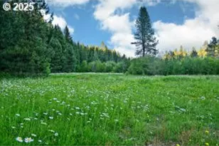 50000 Hwy 62, Prospect, OR 97536 - Photo 10